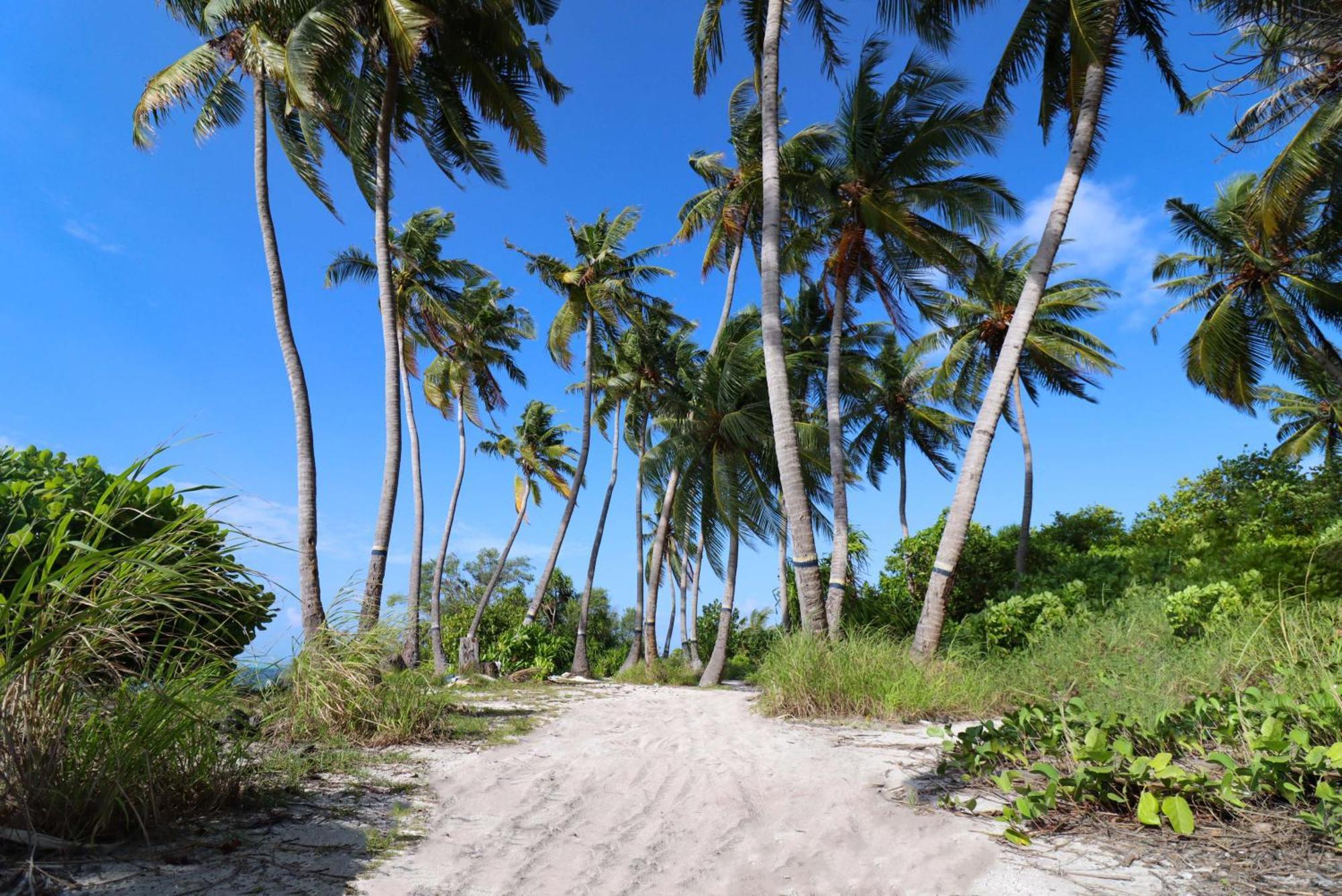 Rashu Hiyaa Hotell Dhiffushi Eksteriør bilde